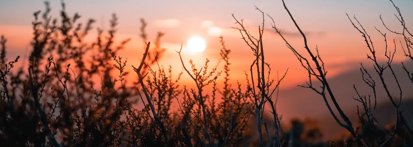Morning light coming through after a long festival night
